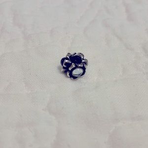 Pandora Charm